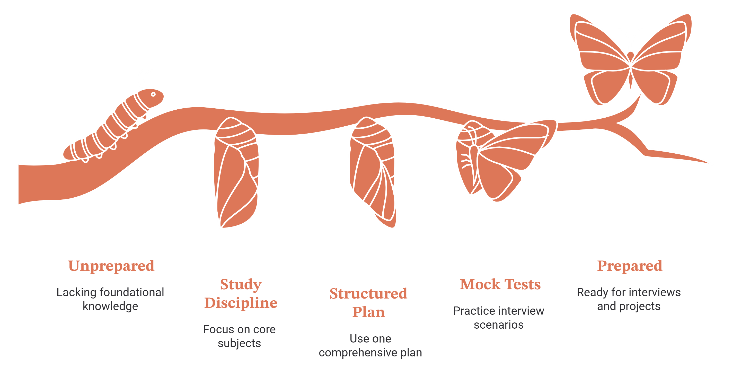 Caterpillar-to-butterfly graphic of five preparation stages: unprepared and lacking foundational knowledge, study discipline focused on core subjects, one comprehensive structured plan, mock tests practising interview scenarios, and finally prepared for interviews and projects.