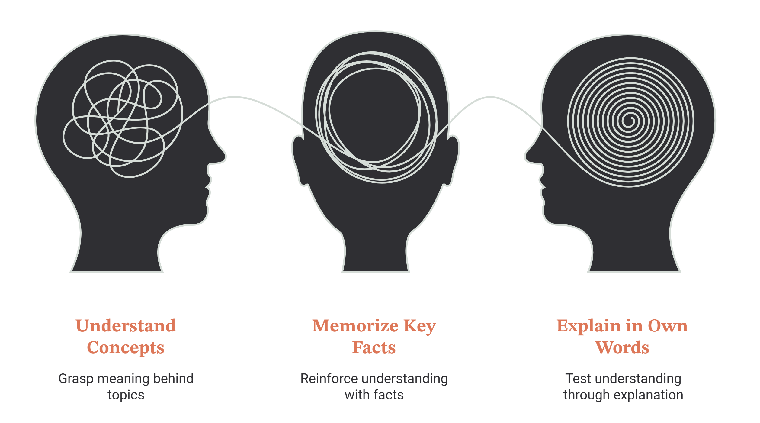 Three heads showing a learning progression from tangled to ordered thinking: understand concepts to grasp the meaning behind topics, memorize key facts to reinforce that understanding, then explain in your own words to test it.